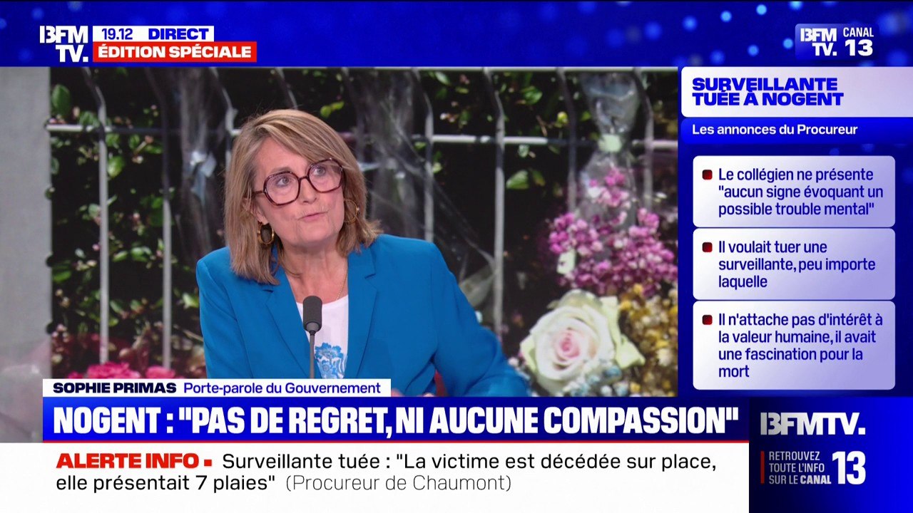 Interdire les réseaux sociaux aux moins de 15 ans: "Si on n'arrive pas à convaincre l'ensemble de l'Europe, on avancera tout seul dans les mois qui viennent", assure Sophie Primas, porte-parole du gouvernement