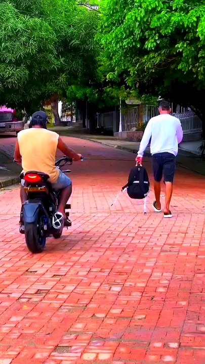 #grab #robber #battle #strategy #sn2sg #sunnight #strategygames #sunnightmusic #mtnezzform #prank #sunnightblues #sunnightpop #game #jokesonyou #lol #catandmouse #catandmouseduet #catgame #chase #winner #loser #survive #lifehacks #tipsandtricks