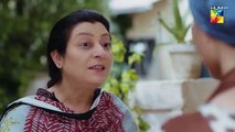 Raaja Rani - Episode 11 - 11th June 2025  - HUM TV