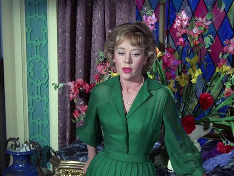 Das Spinngewebe (1960)