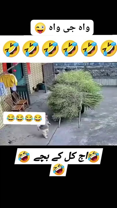 بچے شرارتی ہوتے ہے