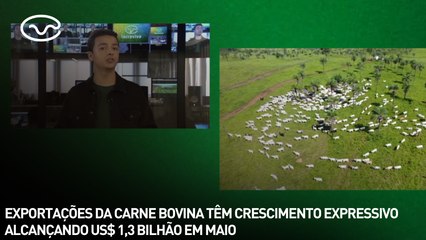 Exportações de carne bovina tem crescimento expressivo alcançando US$ 1,3 bilhão em maio