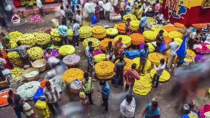 Race Across the World S05E08 – Epic Journey Continues! 🌍