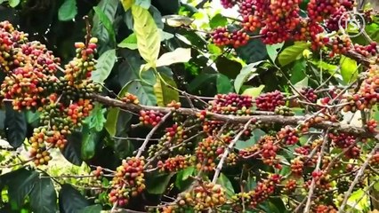 Porque Nos Importa - Rescate del lago de Yojoa debe ser una prioridad - 11 de junio 2025