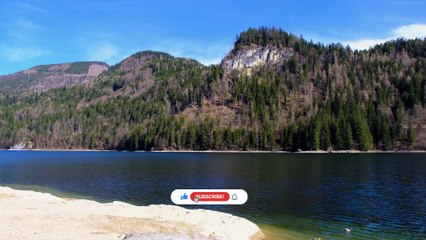 Sacred Forest Sounds – Spiritual Relaxation for Deep Focus