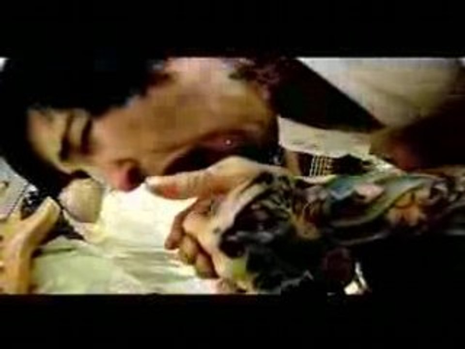SUICIDE SILENCE - Bludgeoned