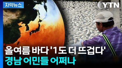 [자막뉴스] 2천만 마리 폐사했었는데... 경남 앞바다 '초긴장' / YTN