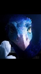 The Invisible Beast can predict the future! #shorts #shortvideo #viralvideo #adventure #fyp