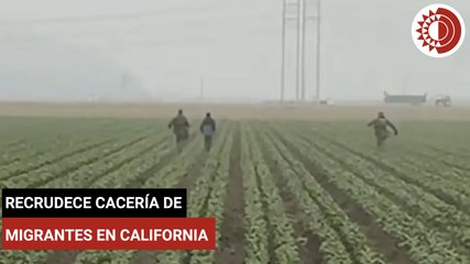 Recrudece cacería de  migrantes en California