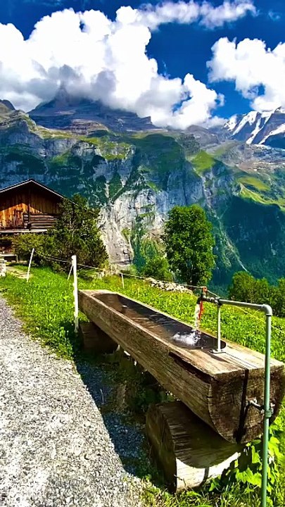 Nice Place natural