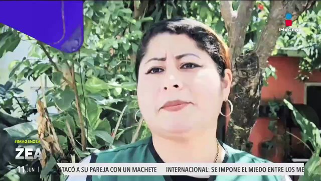 Vecinos de la alcaldía Benito Juárez salen en defensa de Laureano, un árbol de más de 100 años