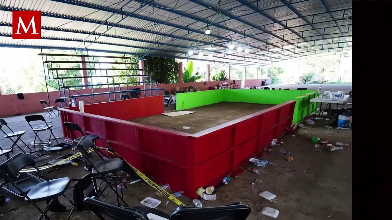 Entre sangre y tradición: el mundo oculto de las peleas de gallos