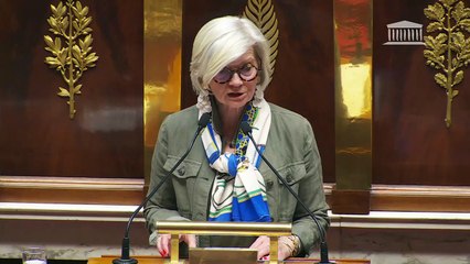 2ème séance : Régulation des réseaux sociaux face aux ingérences étrangères (proposition de résolution européenne)  - Mercredi 11 juin 2025