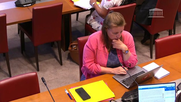 Commission des lois : Projet de loi de programmation pour la refondation de Mayotte (suite) - Mercredi 11 juin 2025