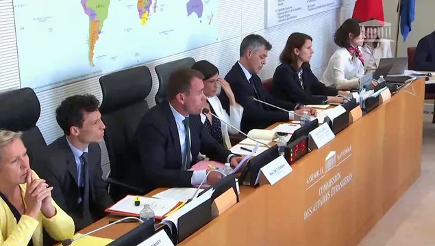 Commission des affaires étrangères : Ratification du traité de coopération en matière de défense entre la République française et la République de Djibouti - Mercredi 11 juin 2025