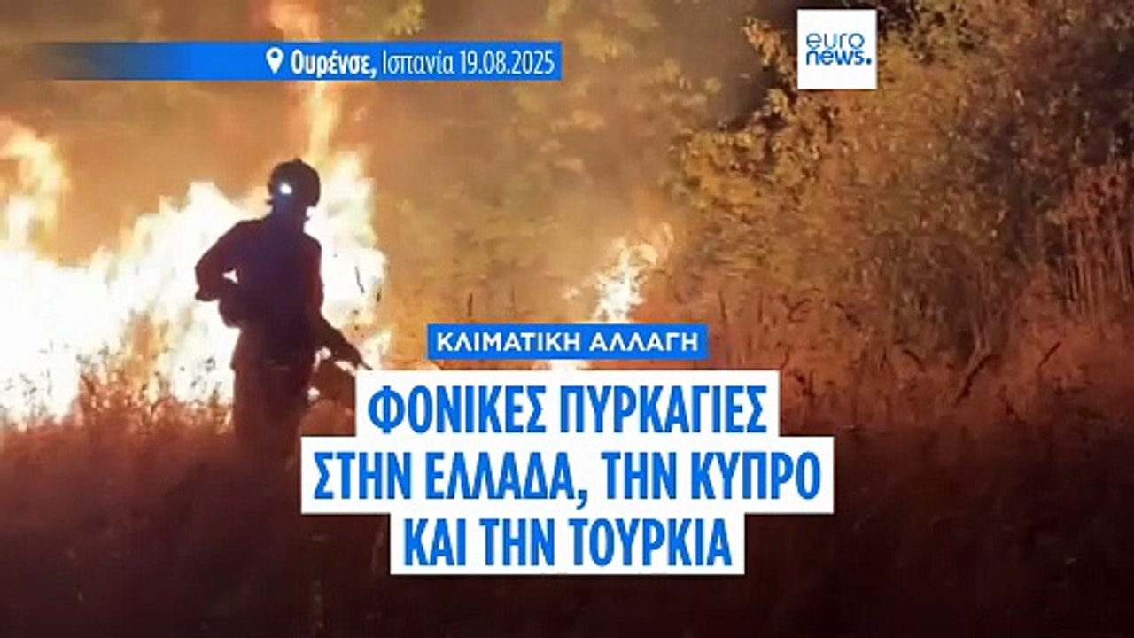 Οι θανατηφόρες πυρκαγιές στη νότια Ευρώπη συνδέονται με την κλιματική κρίση, σύμφωνα με τους επιστήμονες