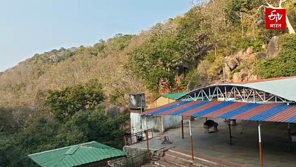 छतरपुर की गुफाओं छिपा इतिहास, जंगल में मिले 40 हजार साल पुराने शैल चित्र