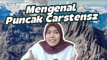 Mengenal Puncak Carstensz, Gunung Tertinggi dan Paling Menantang di Indonesia