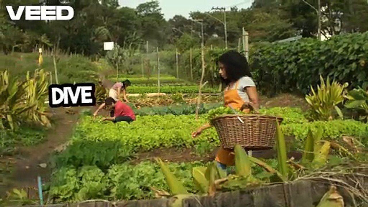 Expert Guidance for Agriculture Assignments Anytime, Anywhere
