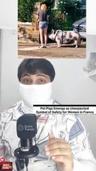 Why do French women start petting PIGS 🐖🐷