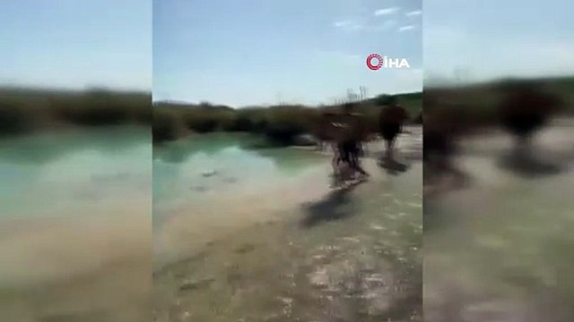 Isparta'dan kahreden haber! Balıklama atlayış ölümle sonuçlandı