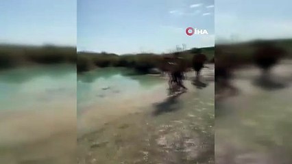 Isparta'dan kahreden haber! Balıklama atlayış ölümle sonuçlandı