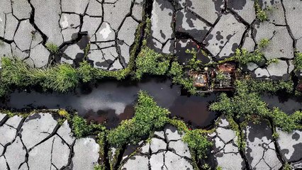 Life After People (2009) Season 3 Episode 7 - Built to Last