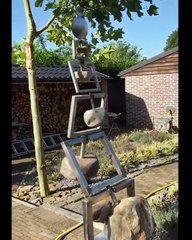 The way this kinetic sculpture balances