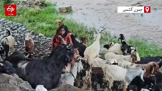 جموں کشمیر: سنتھن، مرگن ٹاپ ٹریفک کی آمد و رفت کے لیے بند