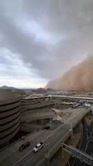 Phoenix Tempestade: A Fiery Storm Unleashed