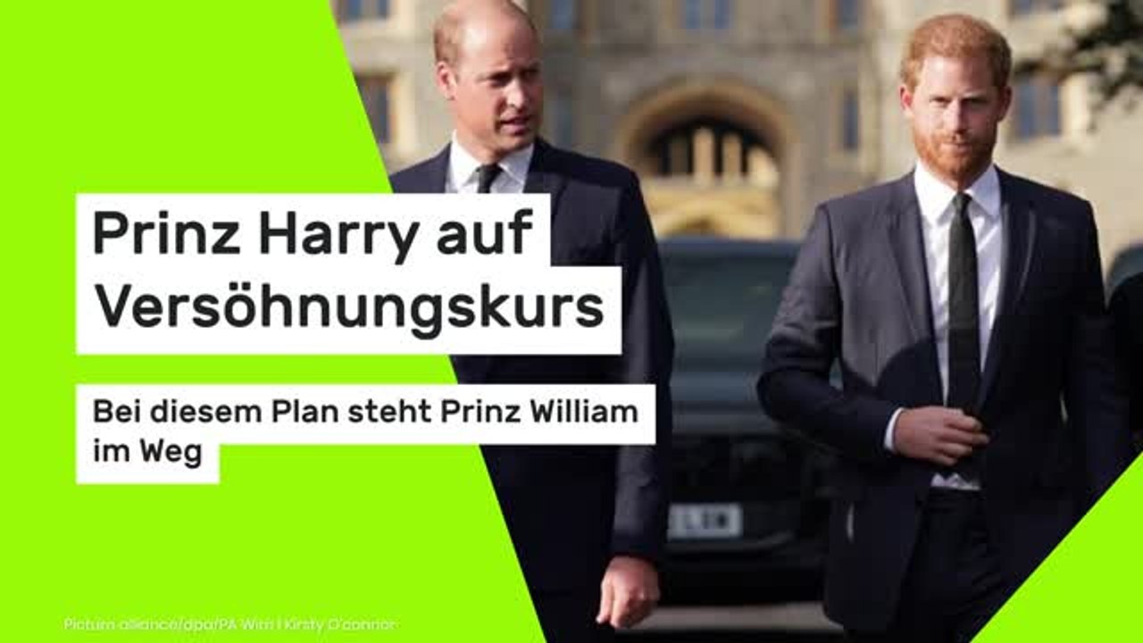 Prinz Harry auf Versöhnungskurs: Bei diesem Plan steht Prinz William im Weg