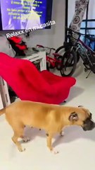 ¡Descubre la Hermosa Casa de Adriana Ríos! 🏡