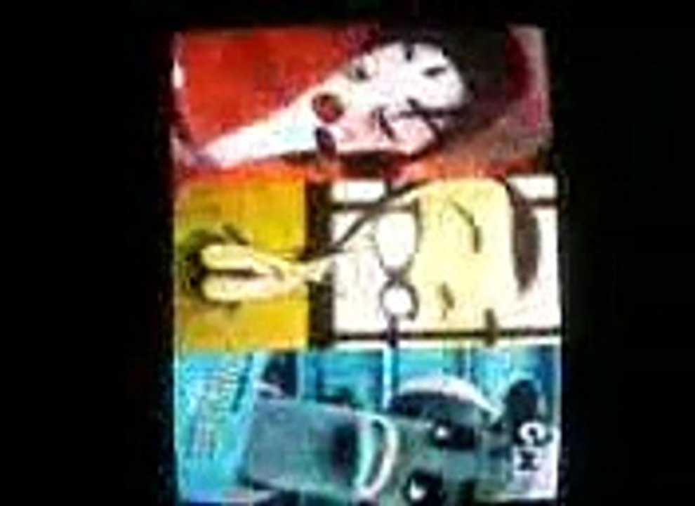 ''Chop Socky Chooks'' Intro PL