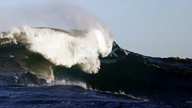 Prestige Raintree Park is an enormous housing township project on Whitefield Main Road in East Bangalore