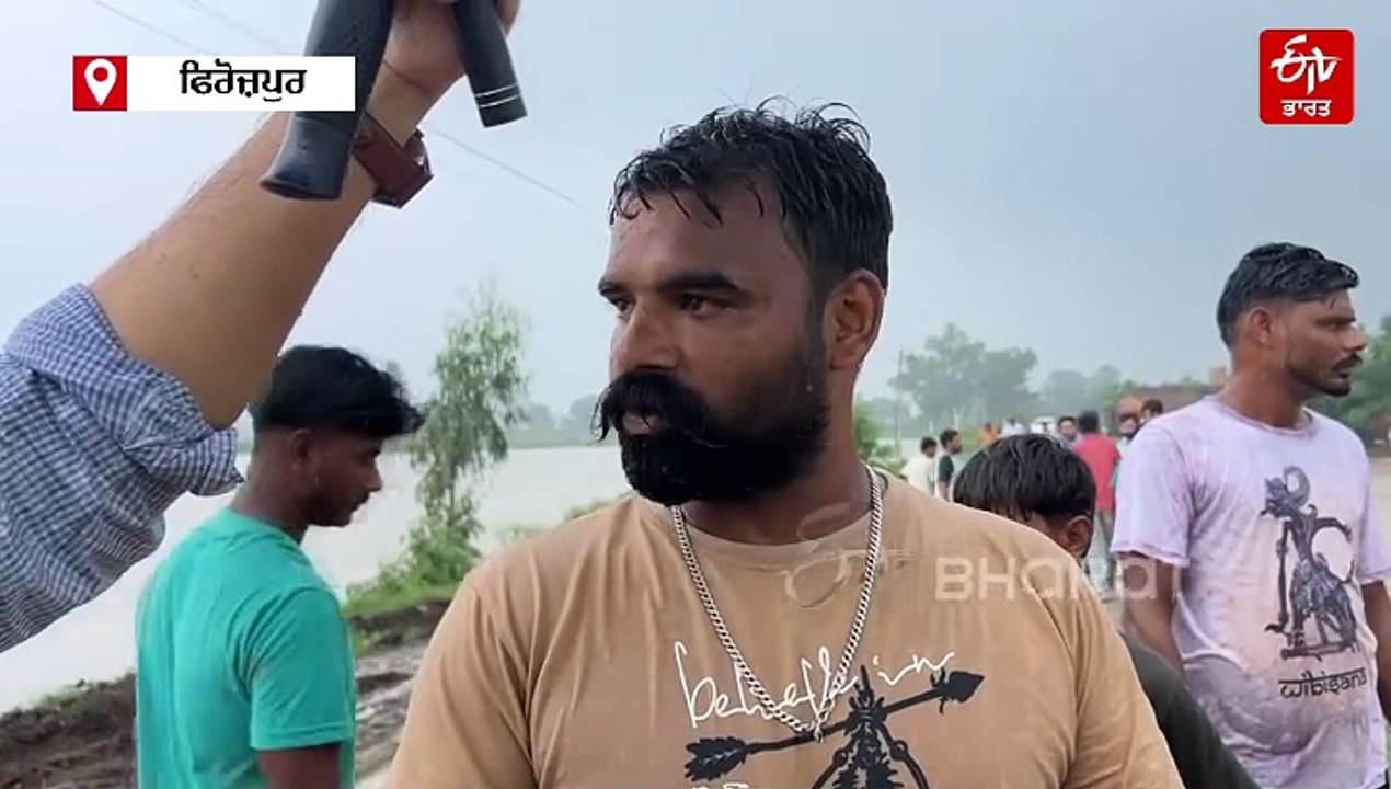 ਪੰਜਾਬ 'ਚ ਮੀਂਹ-ਹੜ੍ਹ ਦੇ ਹਾਲਾਤ: ਫਿਰੋਜ਼ਪੁਰ ਦੇ ਕਈ ਪਿੰਡਾਂ ਵਿੱਚ ਡੁੱਬ ਰਹੀਆਂ ਫ਼ਸਲਾਂ, ਲੋਕ ਨਾਰਾਜ਼