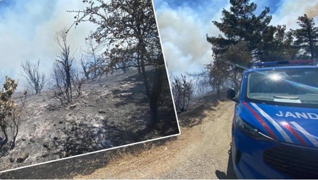 İzmir’in Seferihisar ilçesinde ormanlık alanda yangın