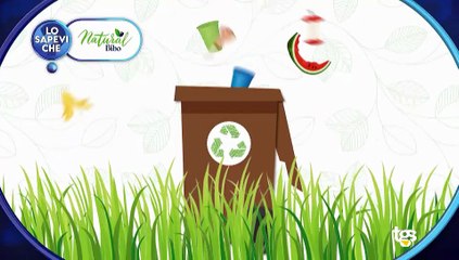 Estate a colori, puntata del 25 agosto