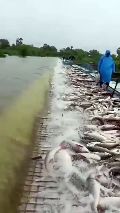 1 August 2025 fishing