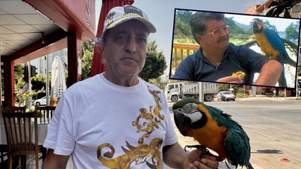 Özal'ın papağanı Cabbar bulundu