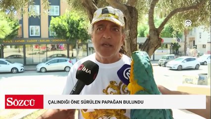 Çalındığı öne sürülen papağan bulundu
