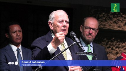 Lucy, célebre antepasado humano, se exhibe por primera vez en Europa