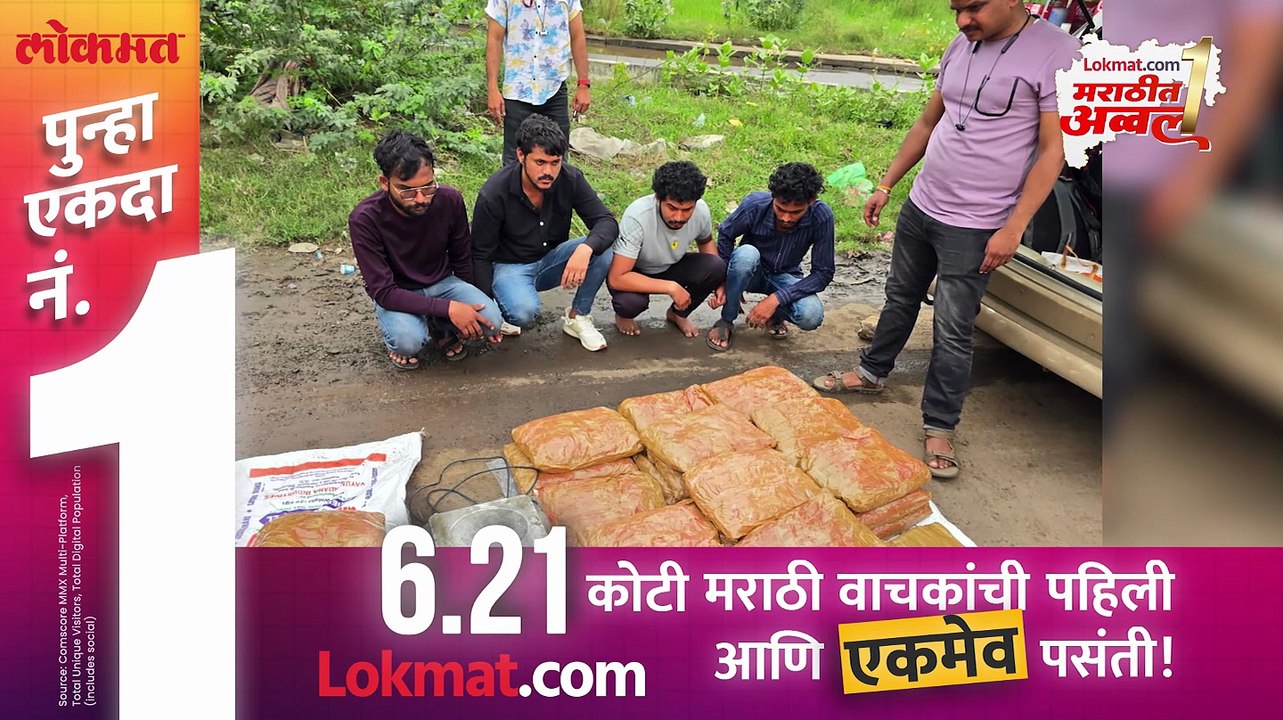 कल्याण ते आंध्रप्रदेशचे जंगल गांजा तस्करीची साखळी कल्याण पोलीसांची मोठी कारवाई