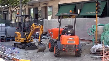 Viale San Martino già sporco: "Ci stiamo attrezzando"