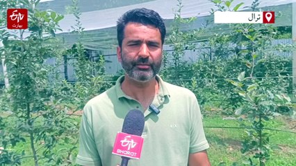 لیف ماینر اور دیگر بیماریوں کے بارے میں آگاہی ضروری، زرعی ماہرین