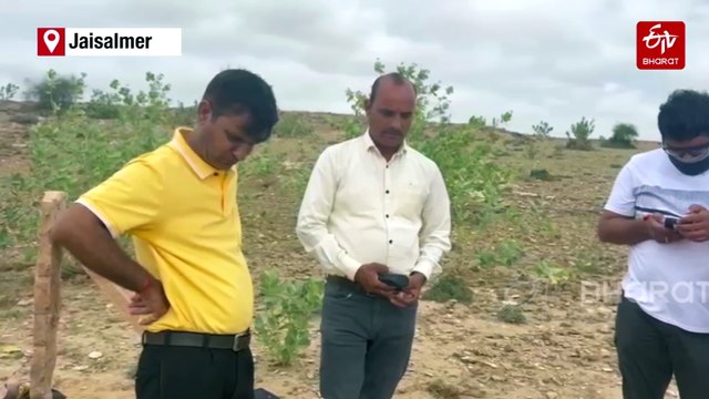 Rare Dinosaur Fossil Unearthed In Jaisalmer's Megha Village