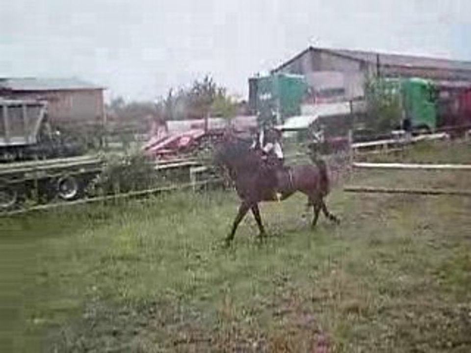 grazii et krakra