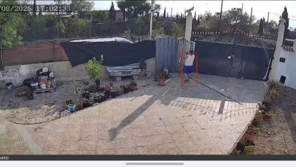 El momento del atropello mortal grabado por la cámara de seguridad de la vivienda del fallecido.