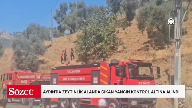 Aydın'da zeytinlik alanda çıkan yangın kontrol altına alındı