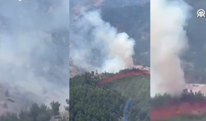 Adana Feke'de orman yangını çıktı