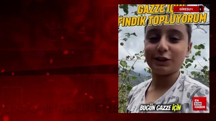 Giresun'da  küçük Talha fındığını Gazze için topluyor
